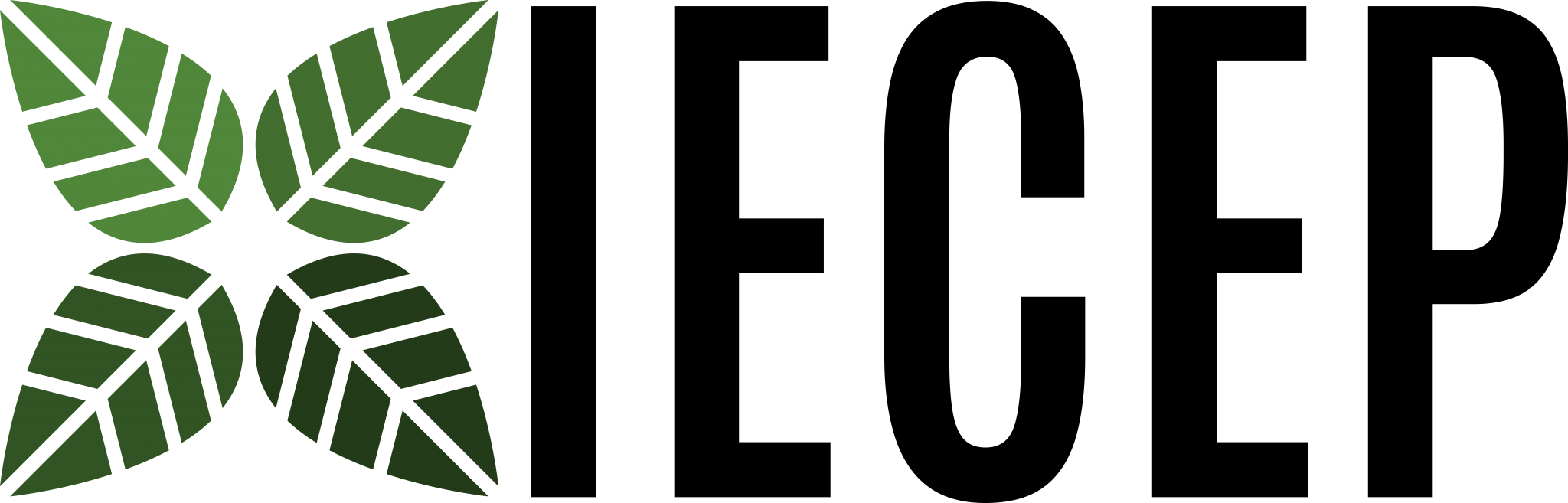 IECEP – Connect – Collaborate – Create